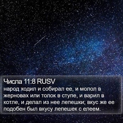 Числа 11:8 RUSV Bible Verse Image