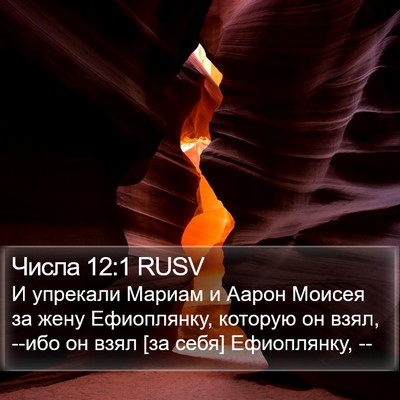 Числа 12:1 RUSV Bible Verse Image