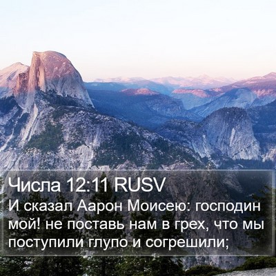 Числа 12:11 RUSV Bible Verse Image