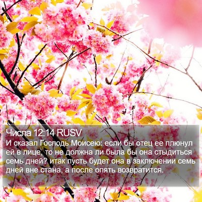 Числа 12:14 RUSV Bible Verse Image