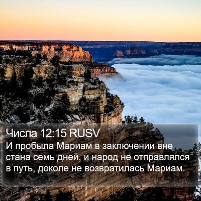 Числа 12:15 RUSV Bible Verse Image