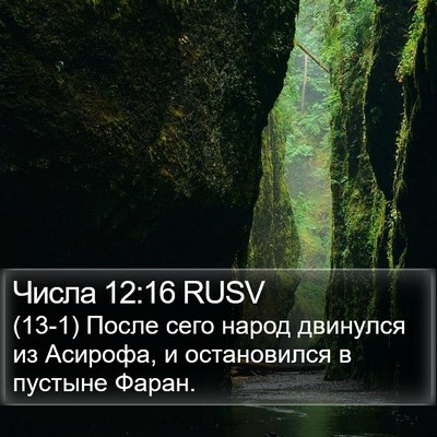 Числа 12:16 RUSV Bible Verse Image