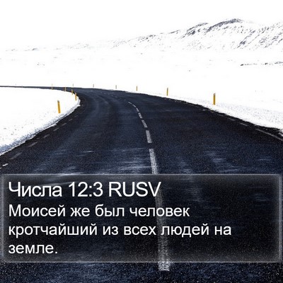 Числа 12:3 RUSV Bible Verse Image