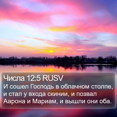 Числа 12:5 RUSV Bible Verse Image