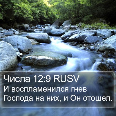 Числа 12:9 RUSV Bible Verse Image