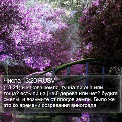 Числа 13:20 RUSV Bible Verse Image