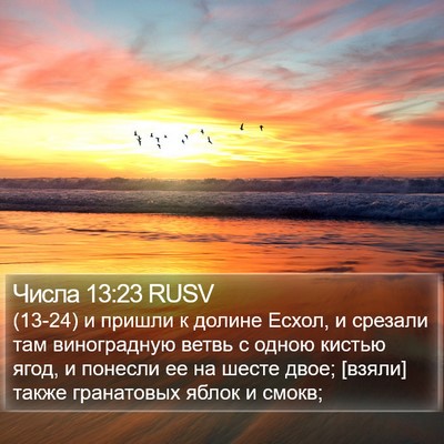 Числа 13:23 RUSV Bible Verse Image