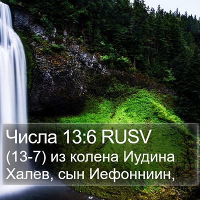 Числа 13:6 RUSV Bible Verse Image