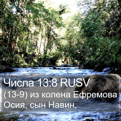 Числа 13:8 RUSV Bible Verse Image