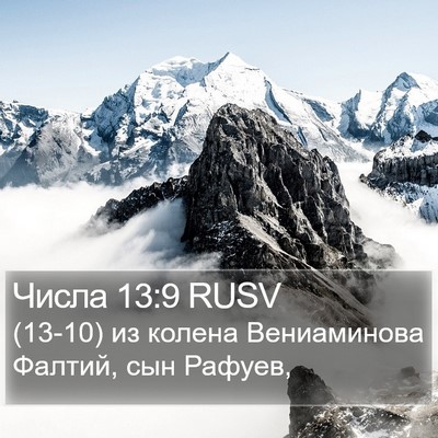 Числа 13:9 RUSV Bible Verse Image