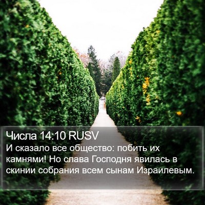 Числа 14:10 RUSV Bible Verse Image