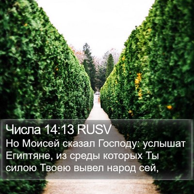 Числа 14:13 RUSV Bible Verse Image