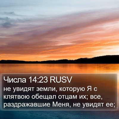 Числа 14:23 RUSV Bible Verse Image
