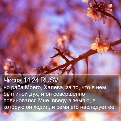 Числа 14:24 RUSV Bible Verse Image