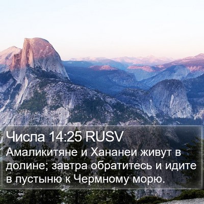 Числа 14:25 RUSV Bible Verse Image