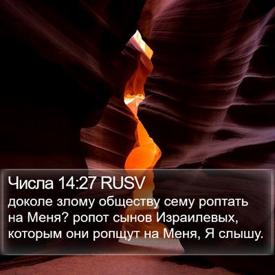 Числа 14:27 RUSV Bible Verse Image