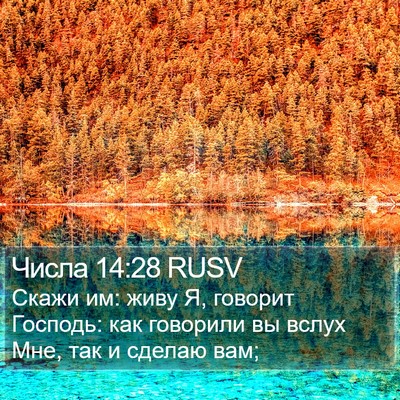 Числа 14:28 RUSV Bible Verse Image