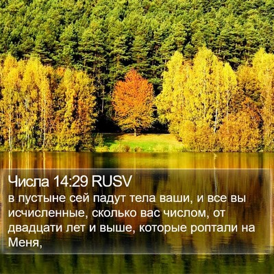 Числа 14:29 RUSV Bible Verse Image
