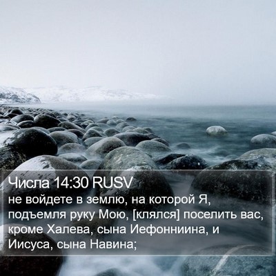 Числа 14:30 RUSV Bible Verse Image