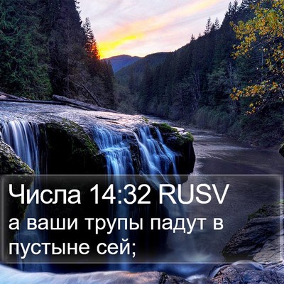 Числа 14:32 RUSV Bible Verse Image