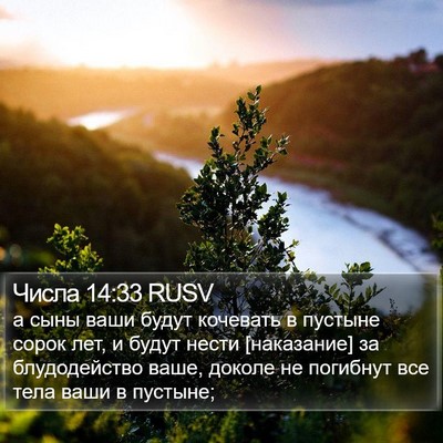 Числа 14:33 RUSV Bible Verse Image