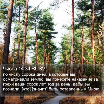 Числа 14:34 RUSV Bible Verse Image