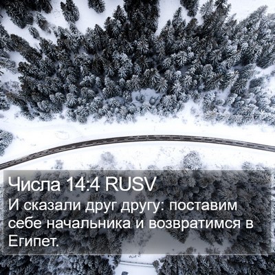 Числа 14:4 RUSV Bible Verse Image