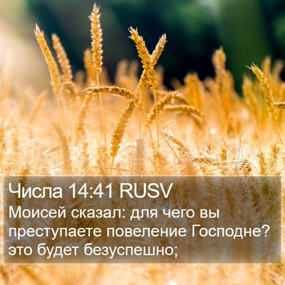 Числа 14:41 RUSV Bible Verse Image