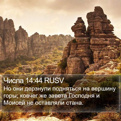 Числа 14:44 RUSV Bible Verse Image