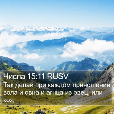 Числа 15:11 RUSV Bible Verse Image