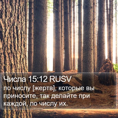 Числа 15:12 RUSV Bible Verse Image