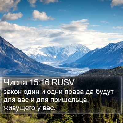 Числа 15:16 RUSV Bible Verse Image