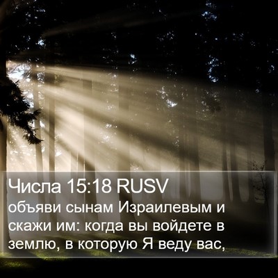 Числа 15:18 RUSV Bible Verse Image