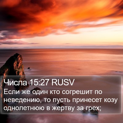 Числа 15:27 RUSV Bible Verse Image