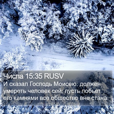 Числа 15:35 RUSV Bible Verse Image