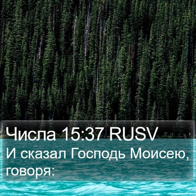 Числа 15:37 RUSV Bible Verse Image