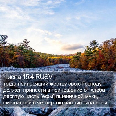 Числа 15:4 RUSV Bible Verse Image