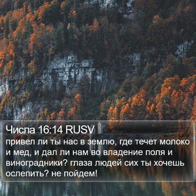 Числа 16:14 RUSV Bible Verse Image
