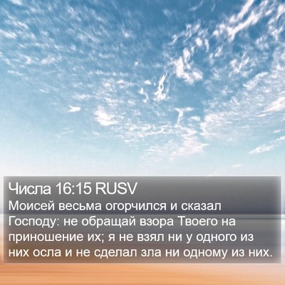 Числа 16:15 RUSV Bible Verse Image
