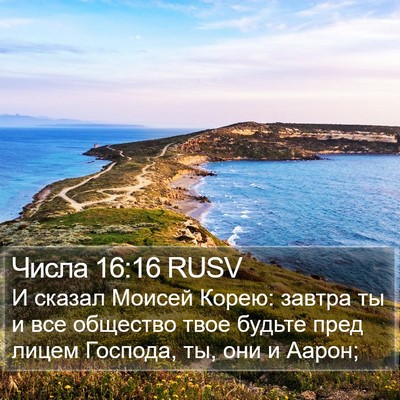 Числа 16:16 RUSV Bible Verse Image