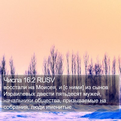 Числа 16:2 RUSV Bible Verse Image
