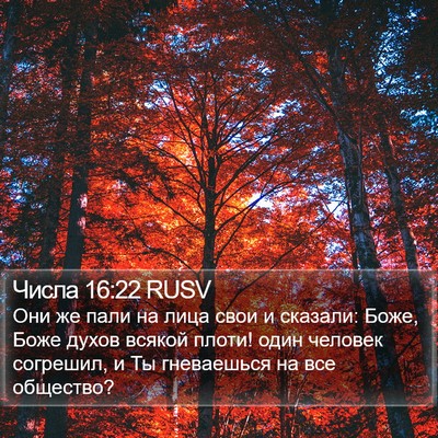 Числа 16:22 RUSV Bible Verse Image