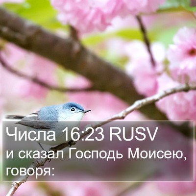 Числа 16:23 RUSV Bible Verse Image