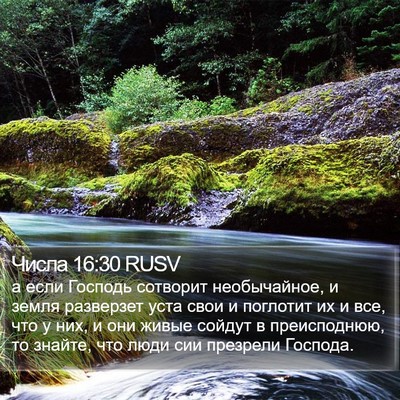 Числа 16:30 RUSV Bible Verse Image