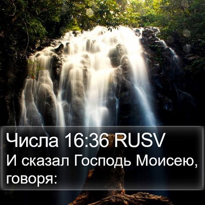 Числа 16:36 RUSV Bible Verse Image