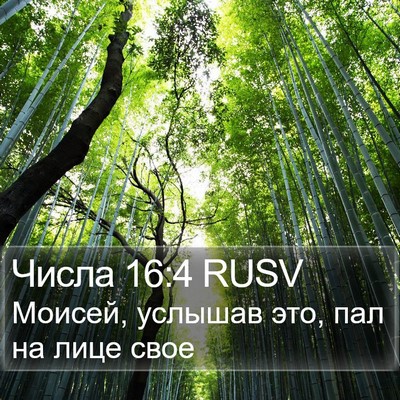 Числа 16:4 RUSV Bible Verse Image