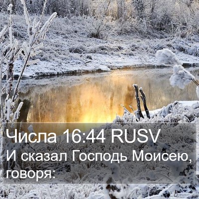 Числа 16:44 RUSV Bible Verse Image