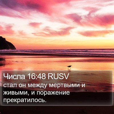 Числа 16:48 RUSV Bible Verse Image