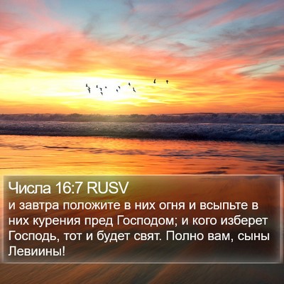 Числа 16:7 RUSV Bible Verse Image