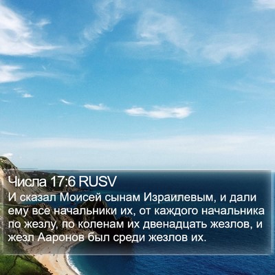 Числа 17:6 RUSV Bible Verse Image